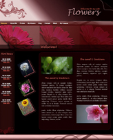 iWeb Template: Claret Theme