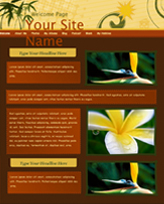iWeb Template: Suntrap Theme